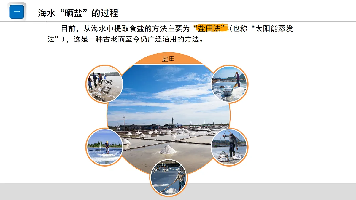 17244309第3页