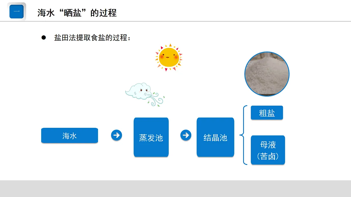 17244309第4页