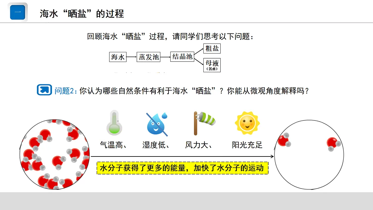 17244309第7页