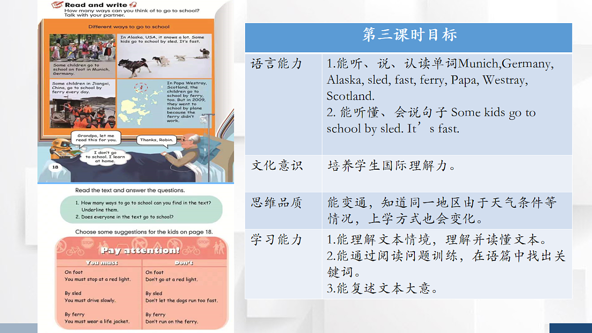 17247364第3页