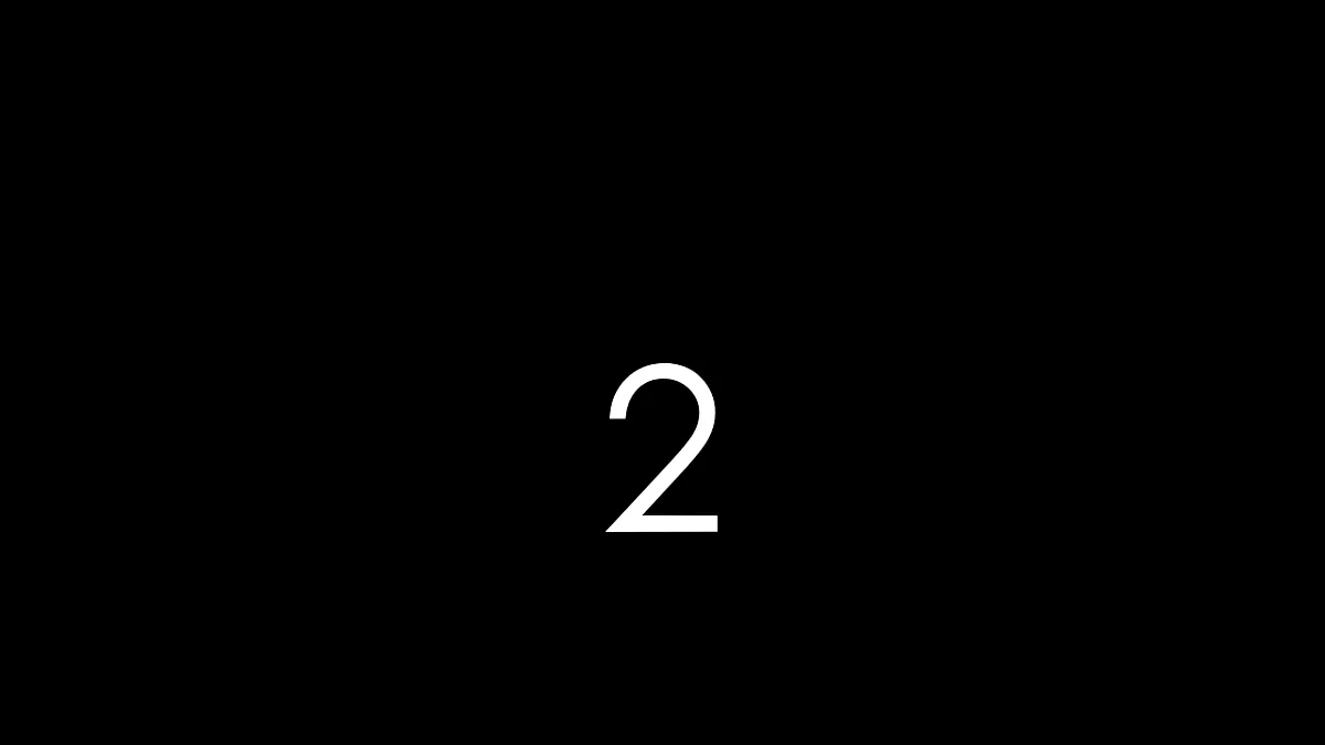 17247369第6页