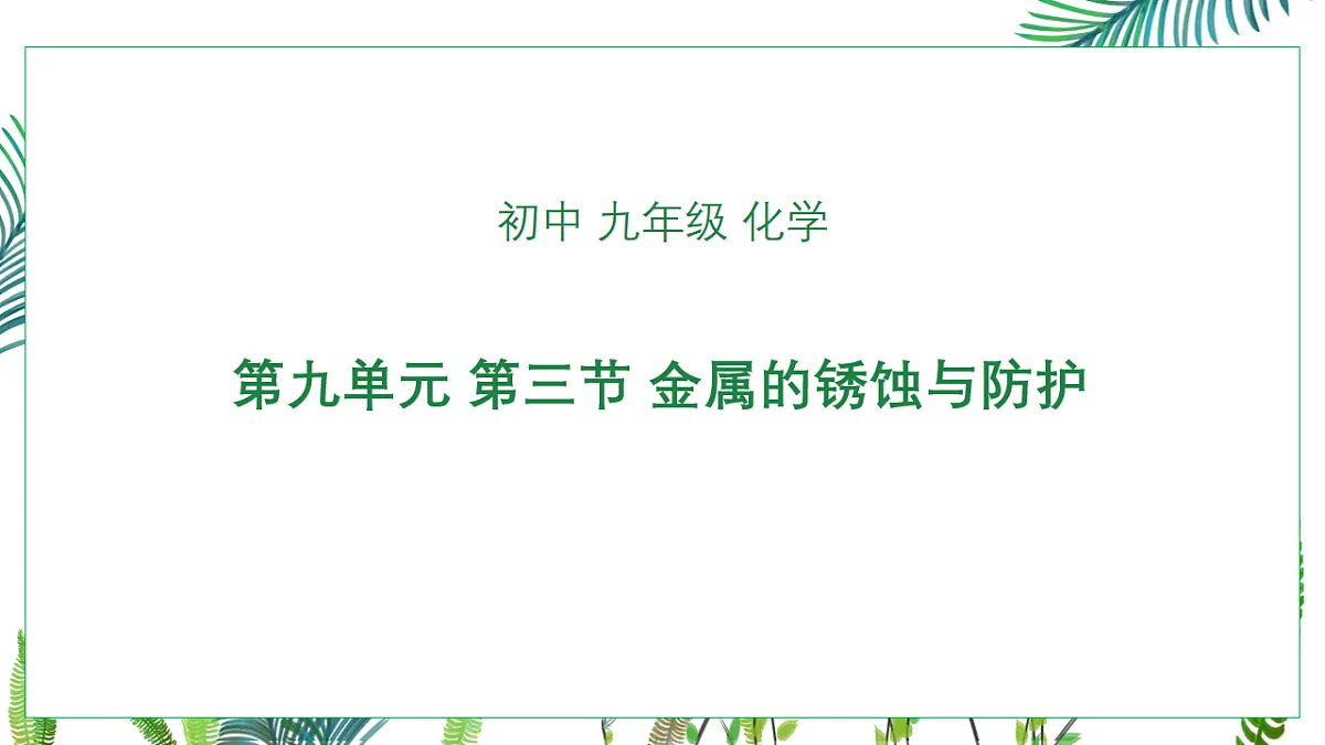 17247668第1页