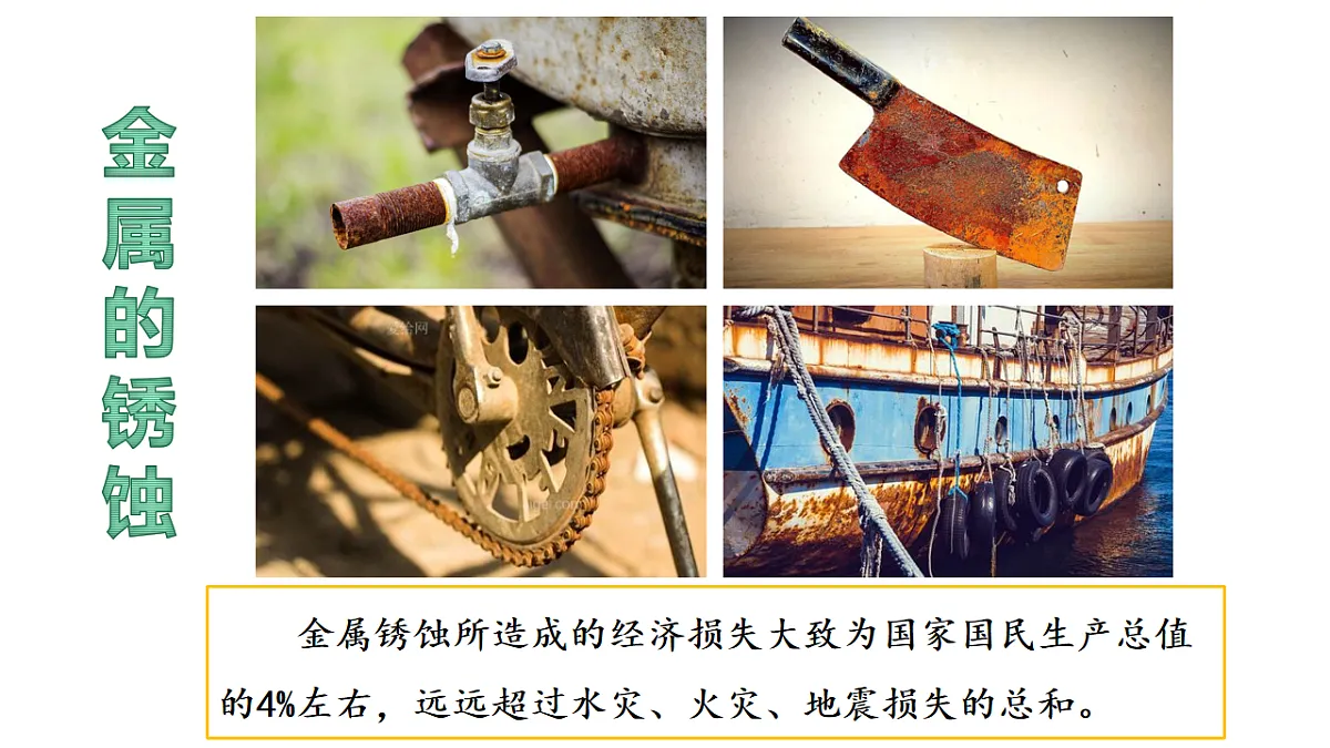 17247668第3页
