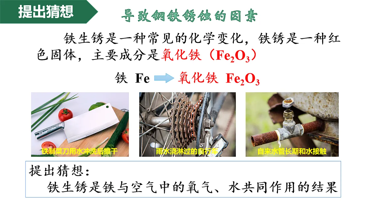 17247668第6页