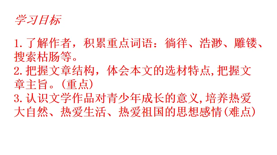 17247926第3页