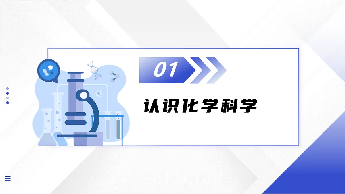 17248463第5页
