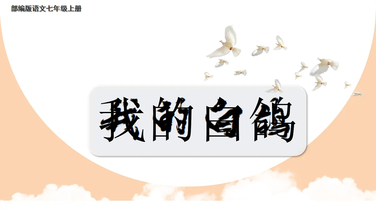 17249712第1页