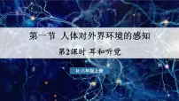 人教版（2024）八年级上册（2024）第一节 人体对外界环境的感知教学ppt课件