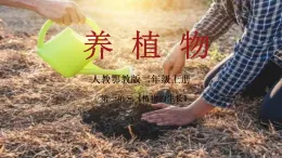 人教鄂教版二年級(jí)上冊(cè)《養(yǎng)植物》新教材課件