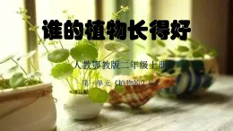 人教鄂教版二年級(jí)上冊(cè)一單元《誰(shuí)的植物長(zhǎng)得好》課件