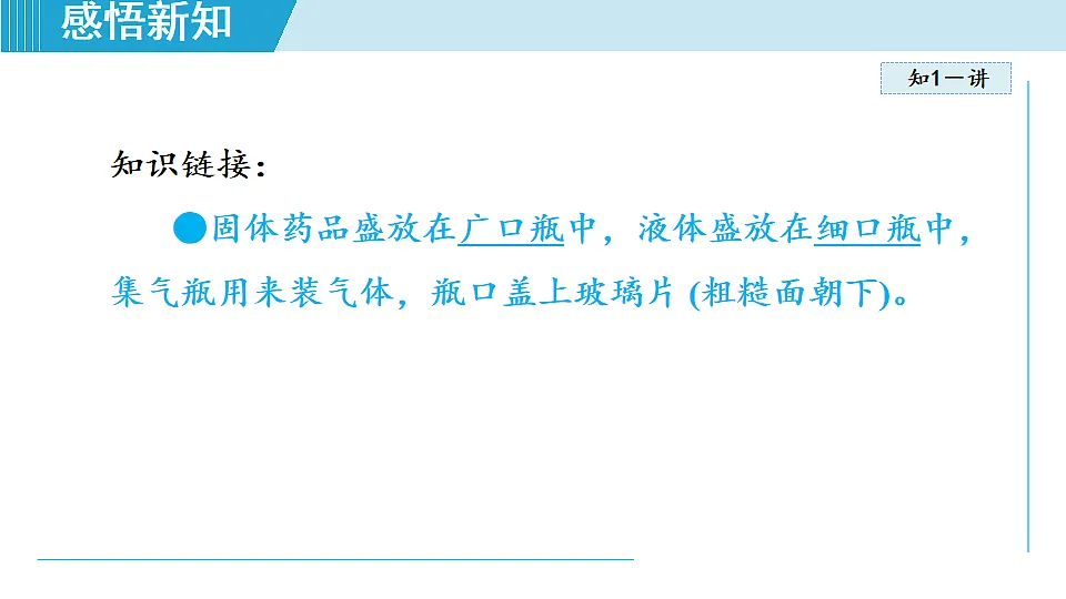 17251467第5页