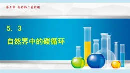滬教版九年級化學(xué)  5.3 自然界中的碳循環(huán)（學(xué)習(xí)、上課課件）