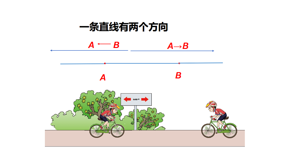 17252139第8页