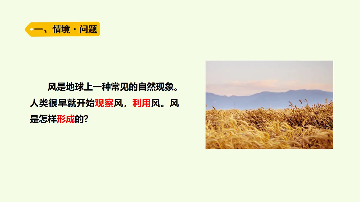 17252195第2页