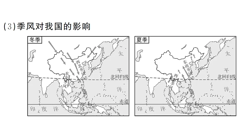 17254244第3页