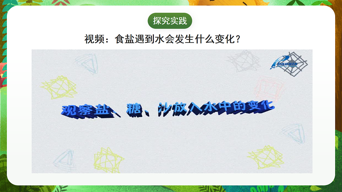 17254255第5页