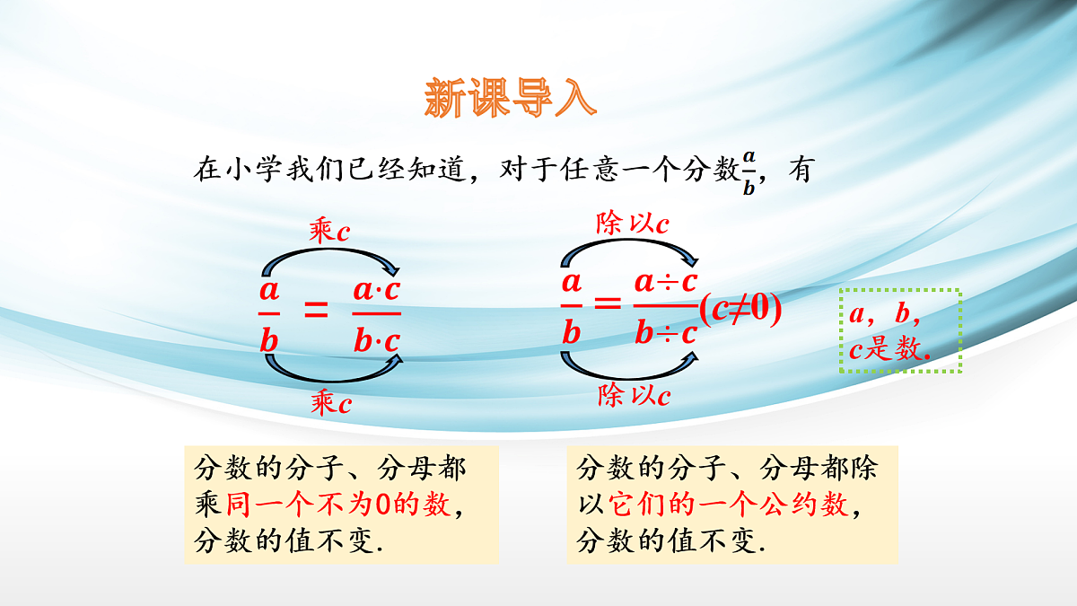 17254271第3页