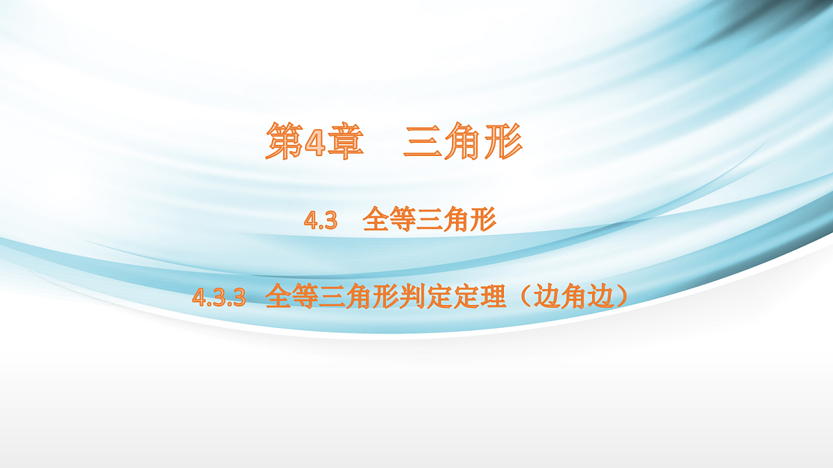 17254289第1页