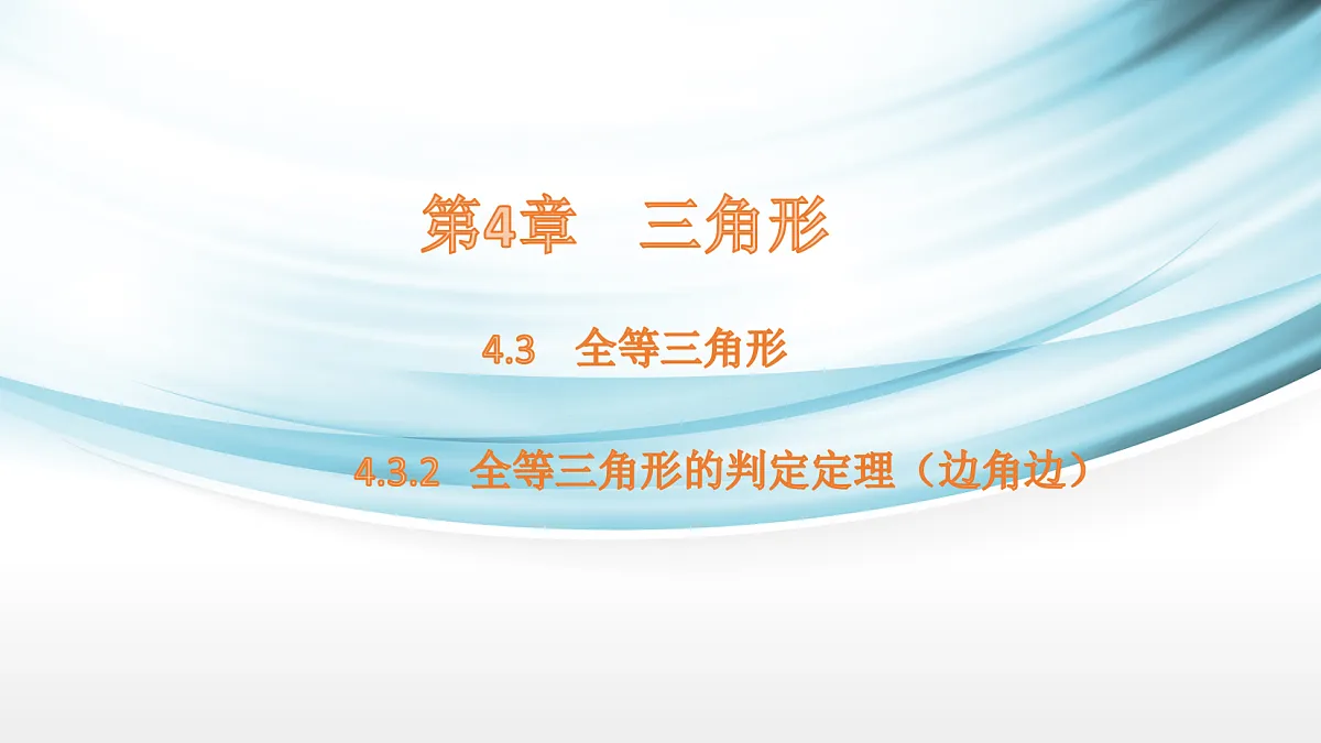 17254293第1页
