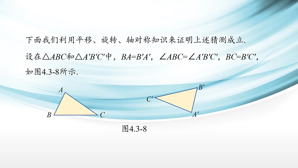 17254293第8页