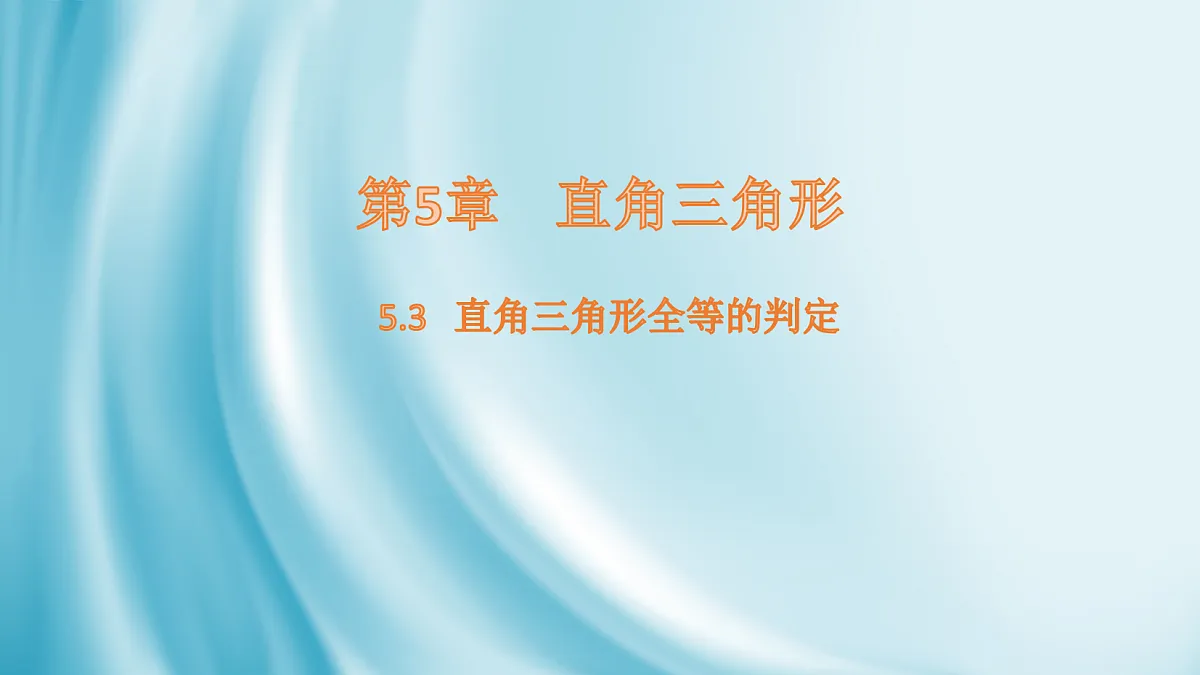 17254360第1页