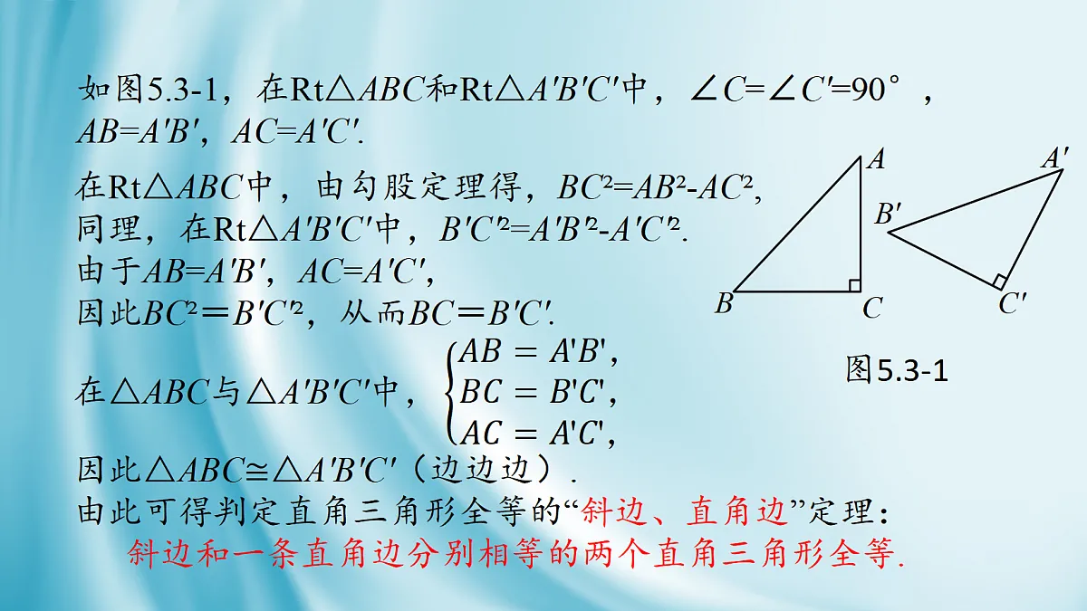 17254360第6页