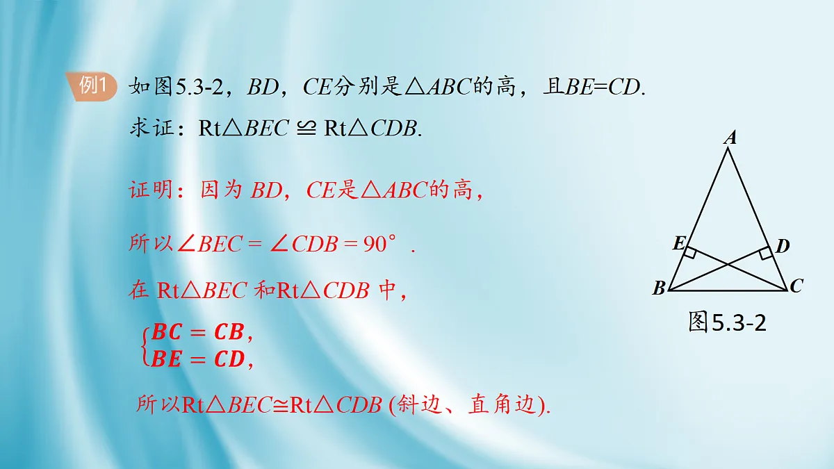 17254360第8页