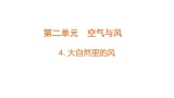 2.4《大自然里的风》（课件）2025-2026学年大象版三年级科学上册