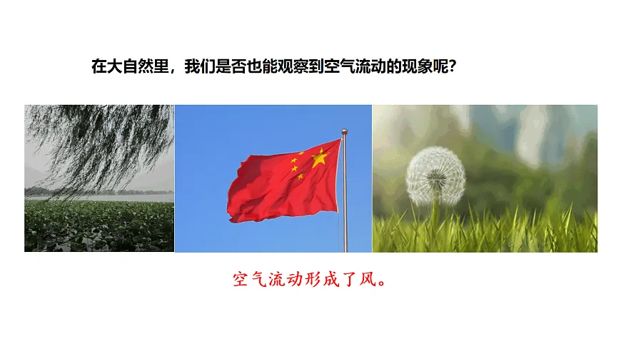 17254432第2页