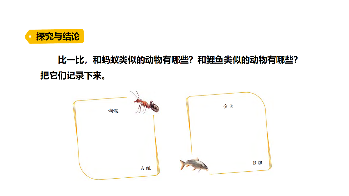 17254465第4页