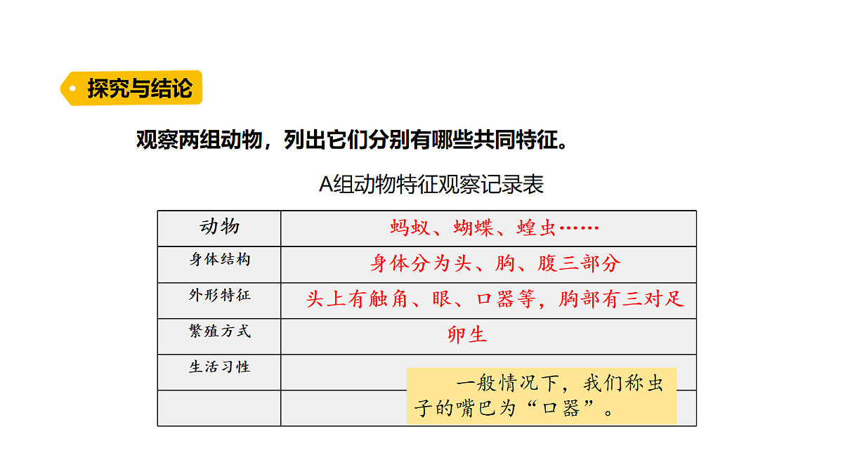 17254465第6页