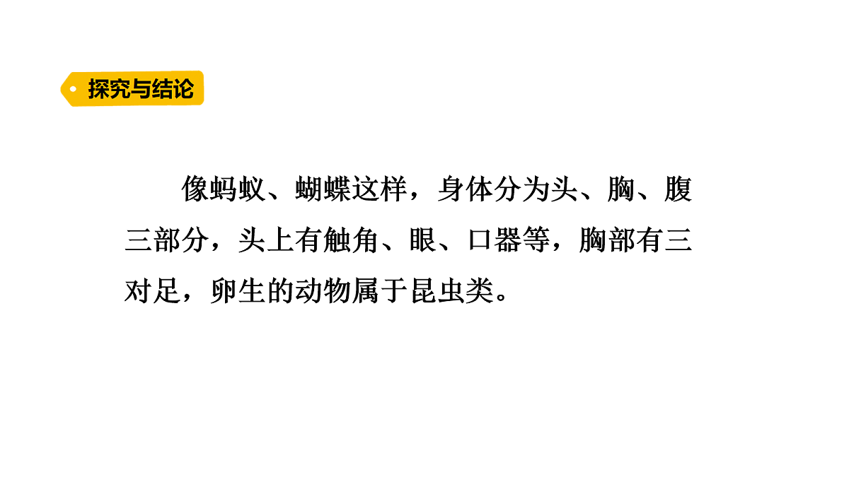 17254465第7页