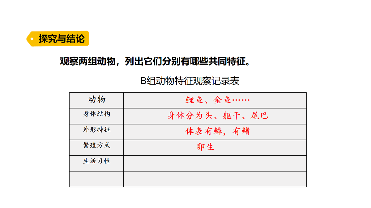 17254465第8页
