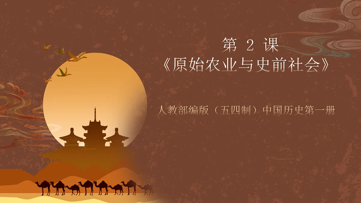 17254559第1页