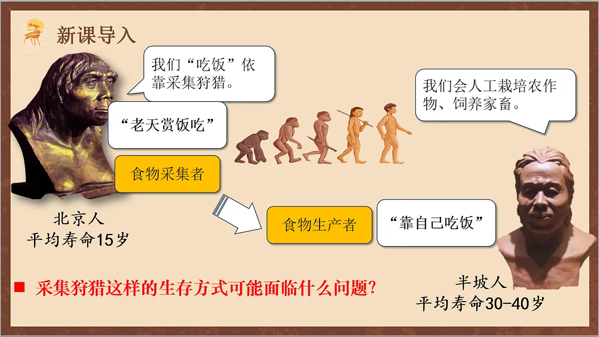 17254559第2页