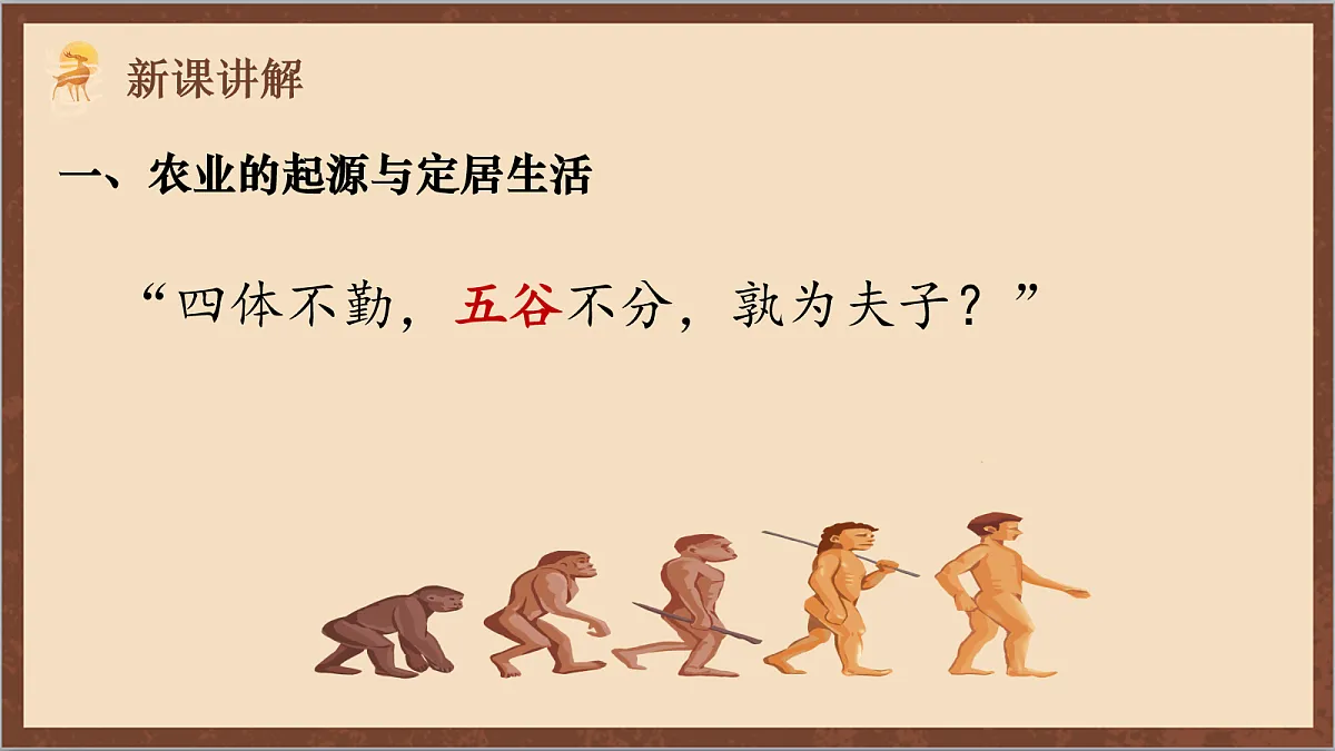 17254559第3页