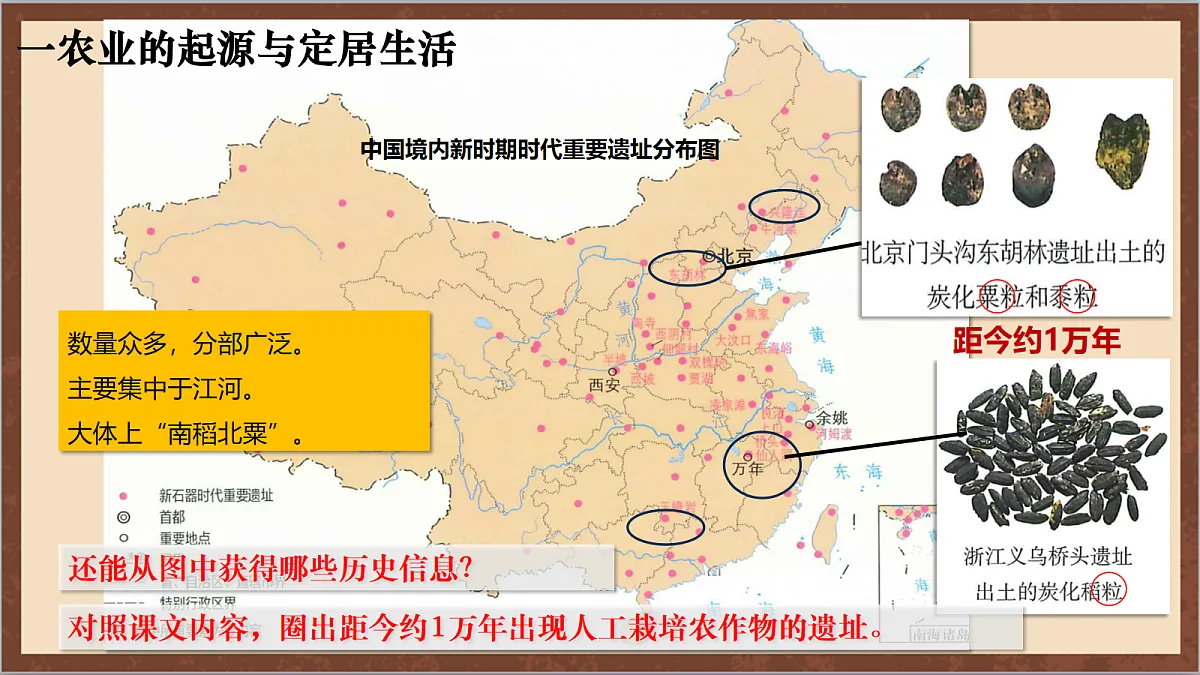 17254559第5页