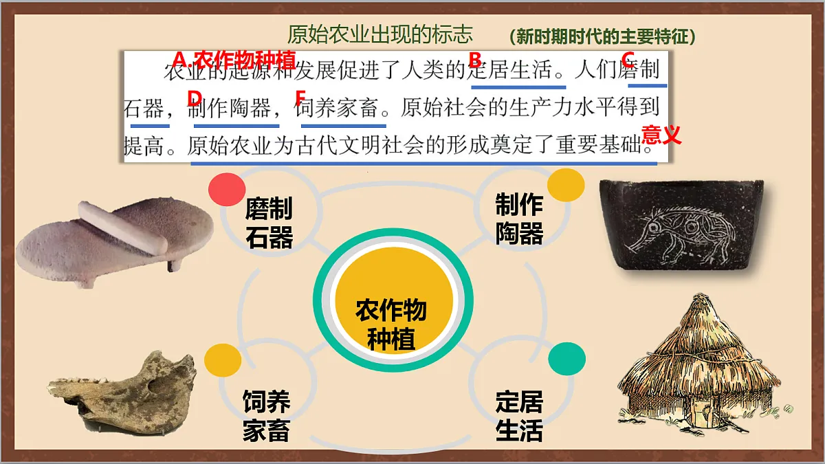 17254559第7页