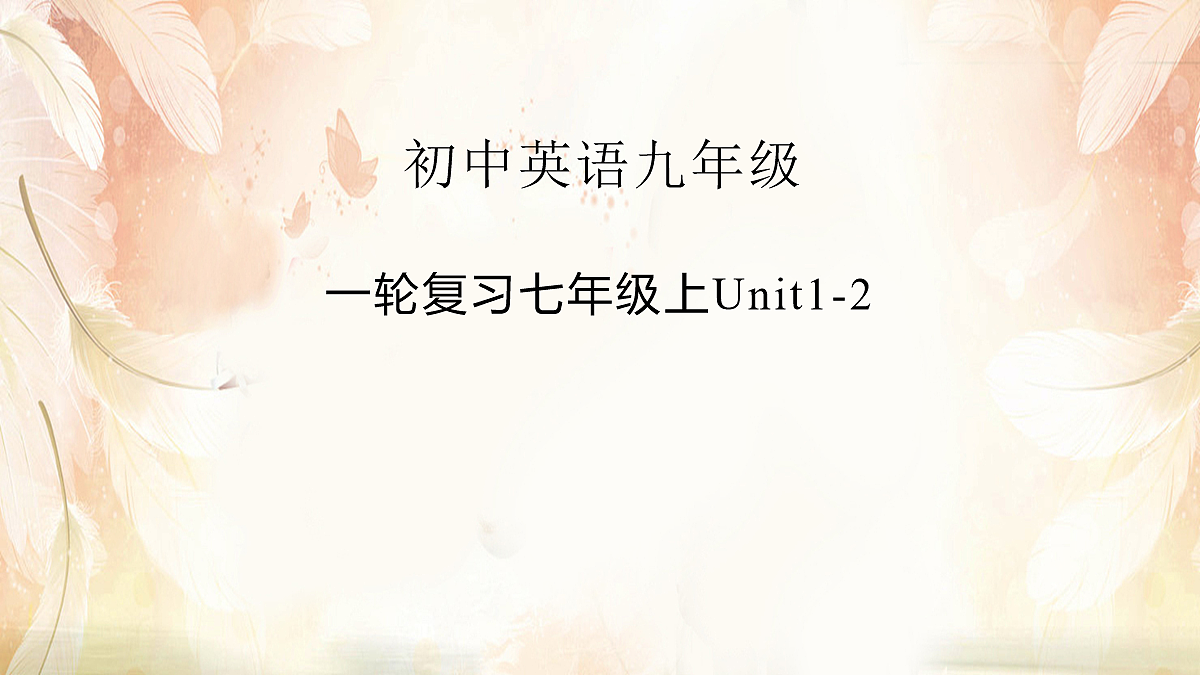 17254656第1页