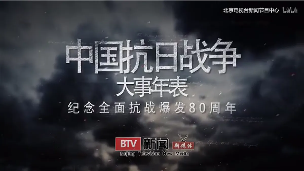 17254745第2页