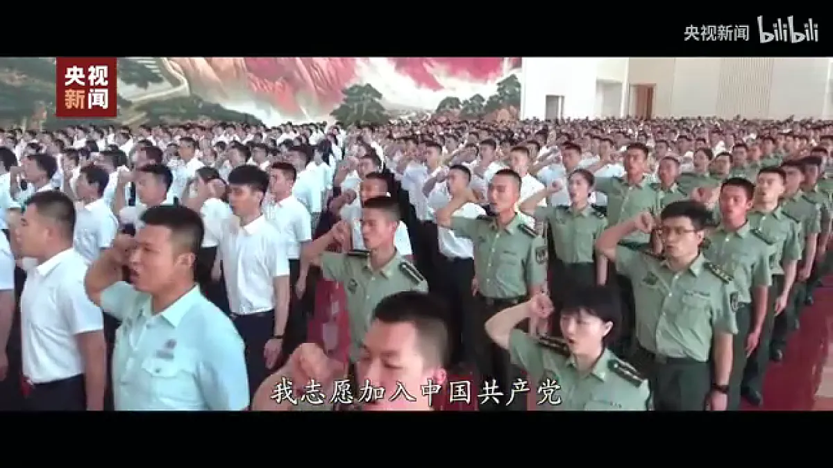 17254745第6页
