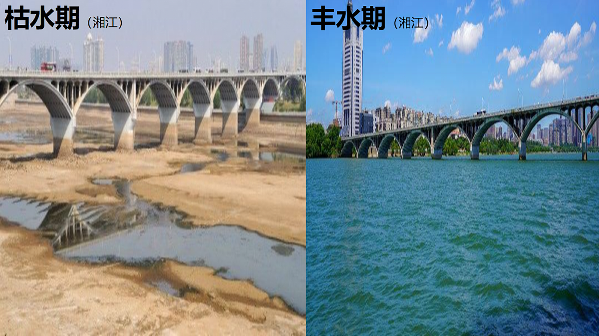 17254774第5页