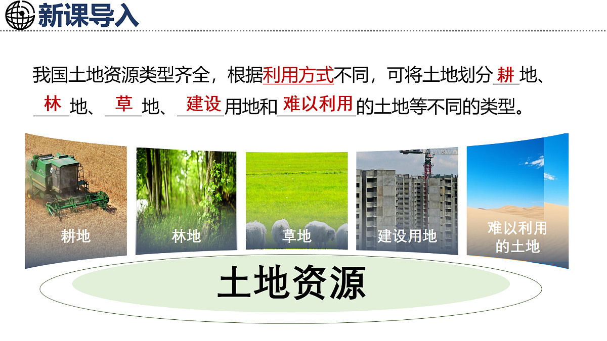 17254785第2页