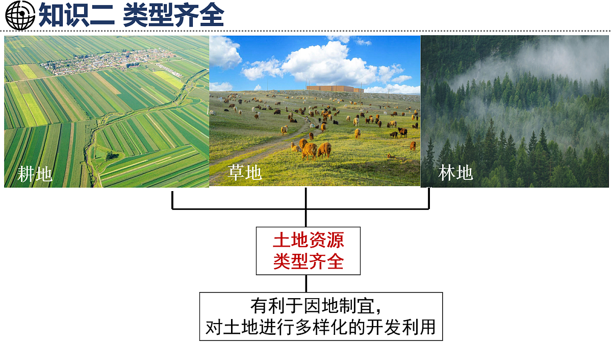 17254785第8页