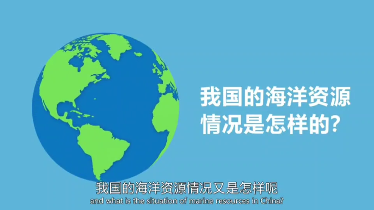 17254791第2页