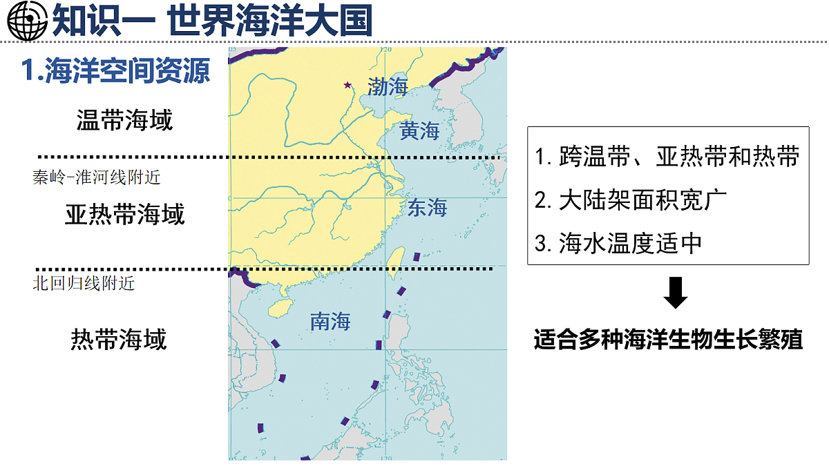 17254791第5页