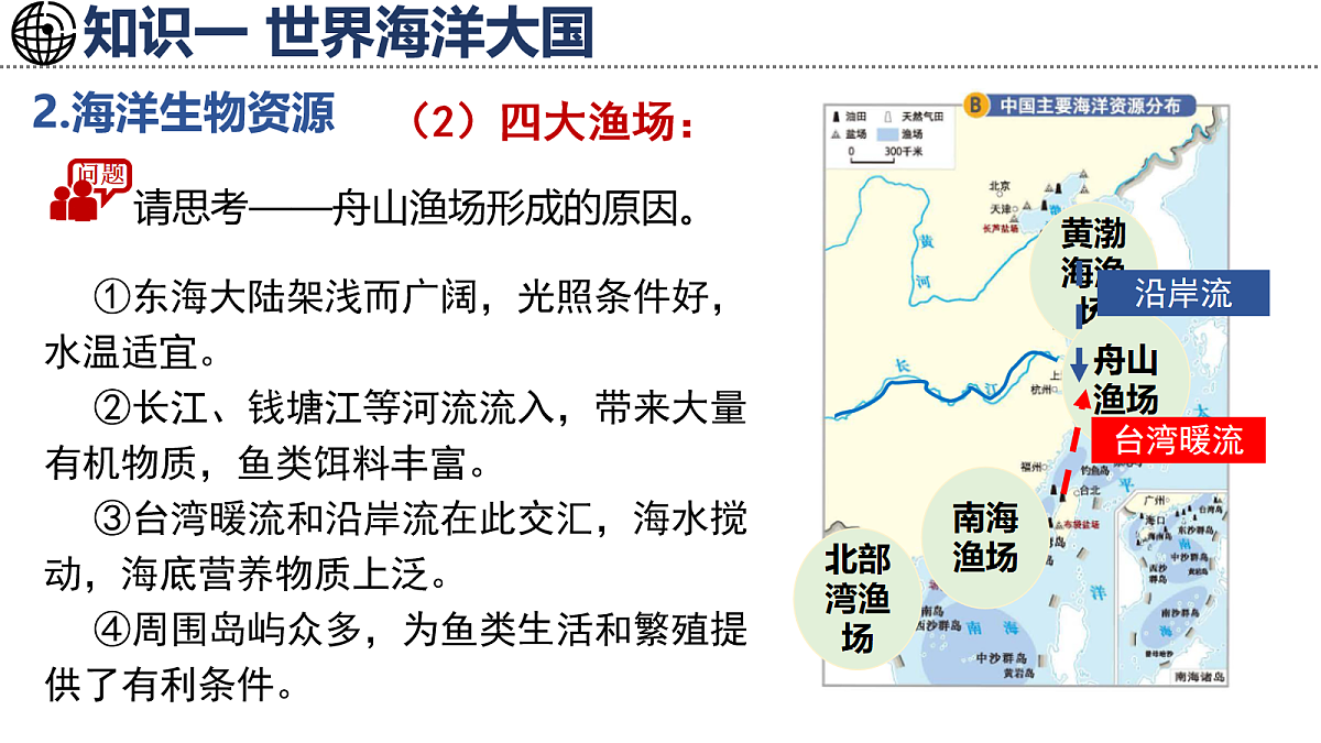 17254791第7页
