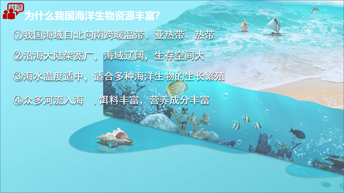 17254791第8页