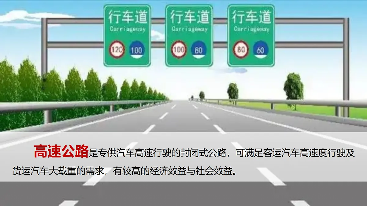 17254801第8页