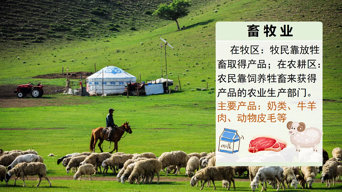 17254806第6页